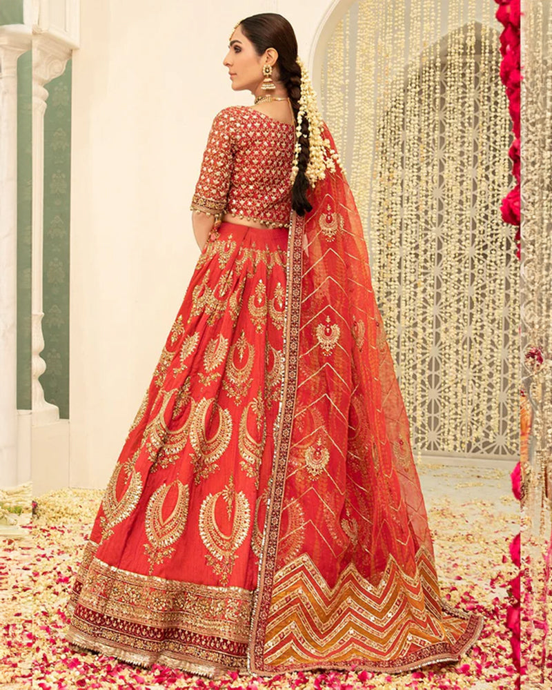 Royal Coral Dream